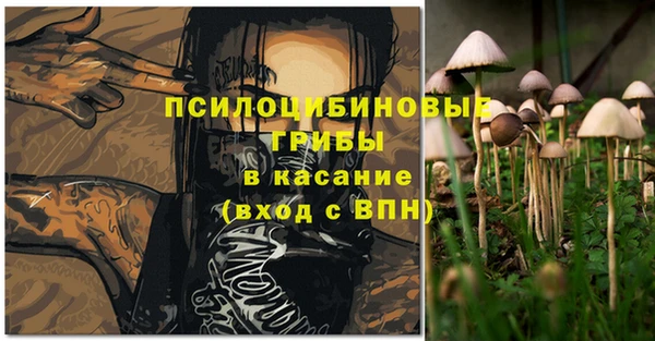 гидропоника Алексин